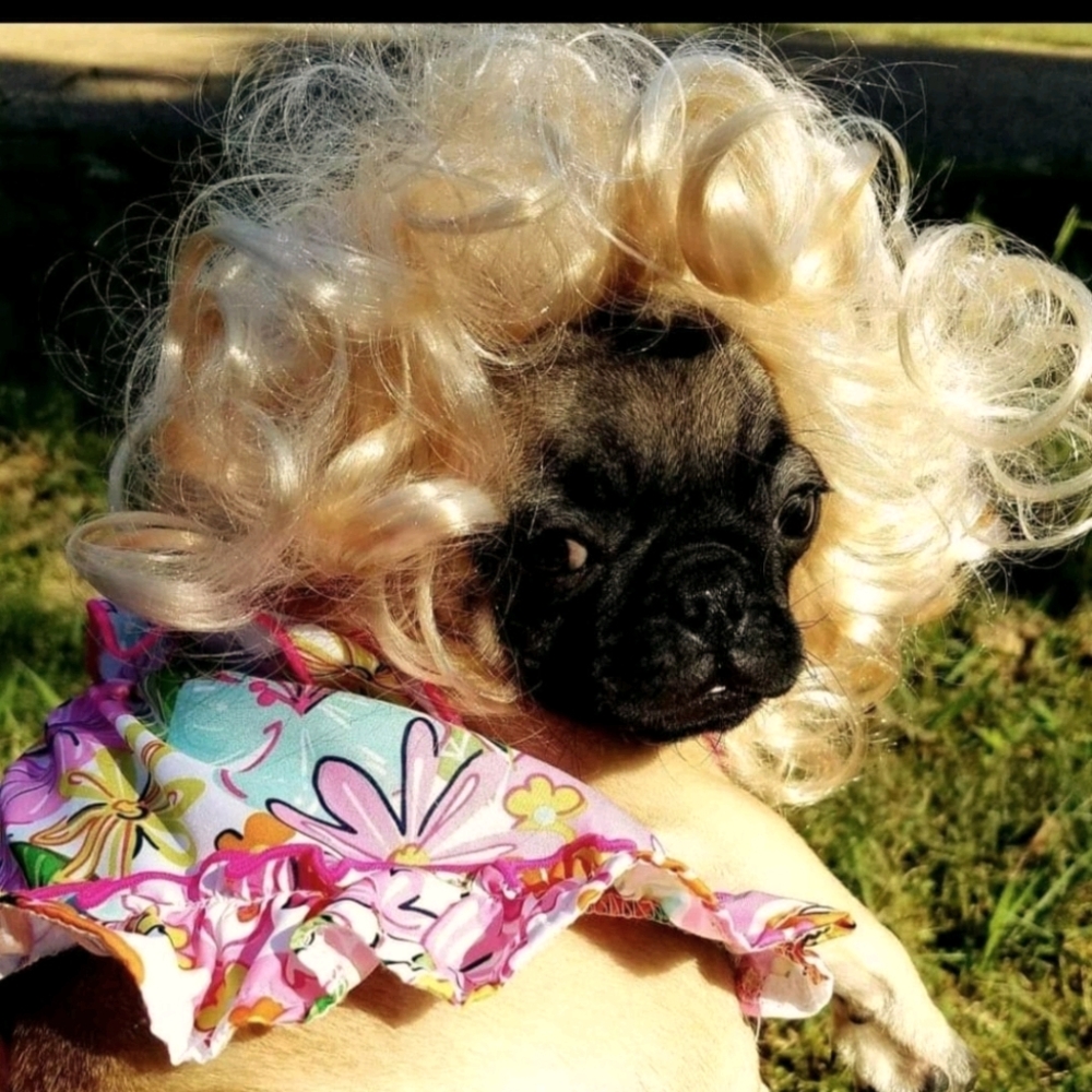 Dolly Pugton - Bargain Hunter